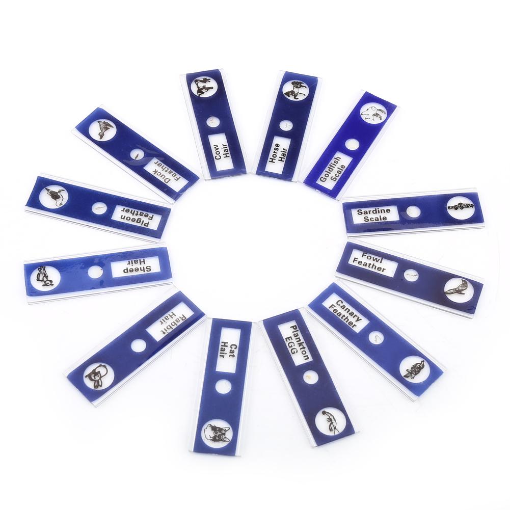 12pcs Plastic Prepared Microscope Slides Animals Insects Flowers Plants Red box