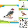 Bird Animal Model With Plastic Material For Home Decor And Collecting