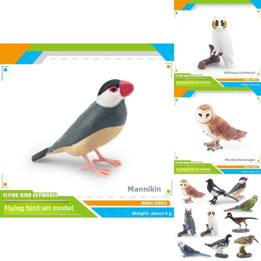 Bird Animal Model With Plastic Material For Home Decor And Collecting