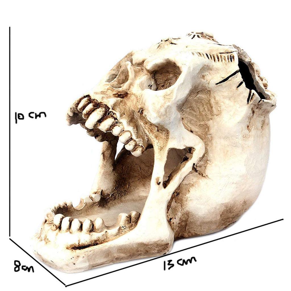 Queen-b Skull Pen Stand, Desk Organizer, Decorative Skull, Realistic Skeleton, Skull, Stylish Ornament (White)
