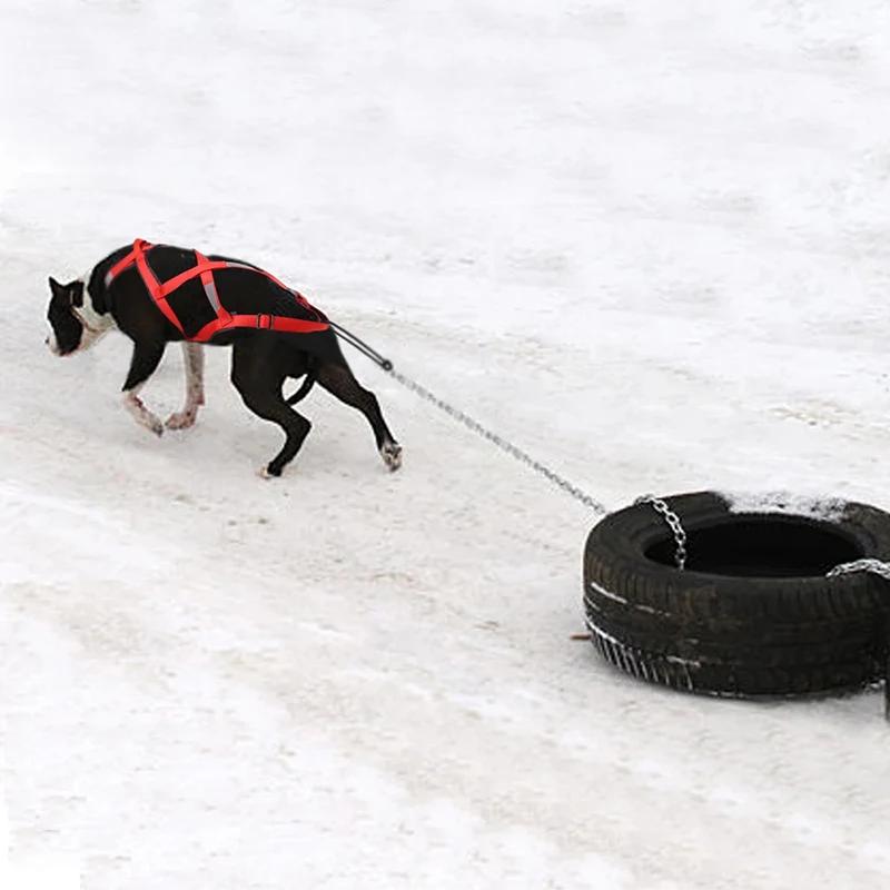 Dog Outdoor Sled Harness Medium Large Dog Weight Training Traction Strap Husky Samoyed Alaska Ski Leash Snowboard Chest Strap