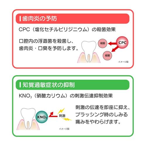 Check Up Root Care ×