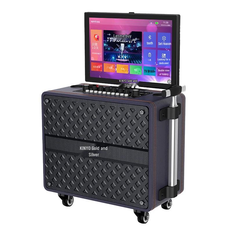 KINYO Portable All-in-One KTV System with Display CN plug (adapter included)