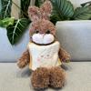Seth Dudu Detachable Bread Rabbit Doll Creative Hamburger Rabbit Doll Plush Toy Children's Girl Birthday Gift