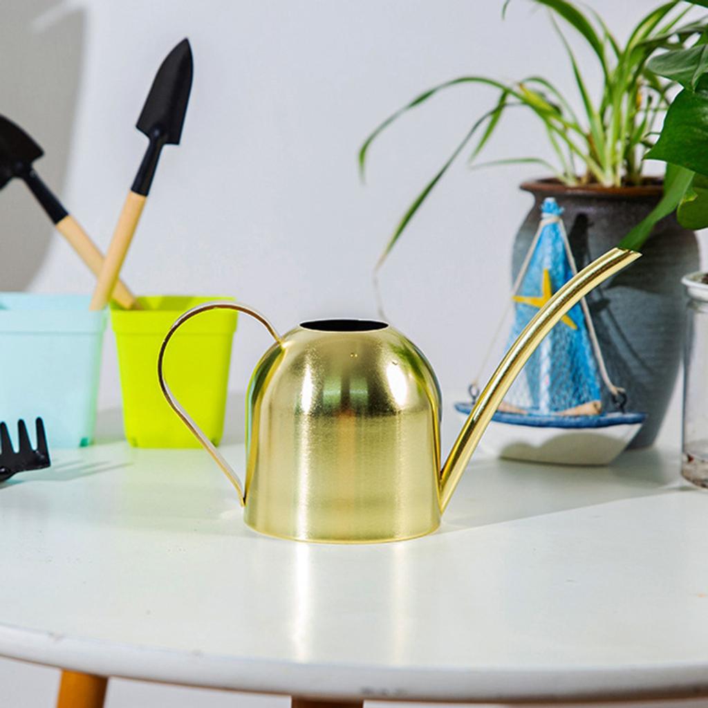 Watering Can for Indoor Plants Orchid Bonsai Stainless Steel Small Watering Can