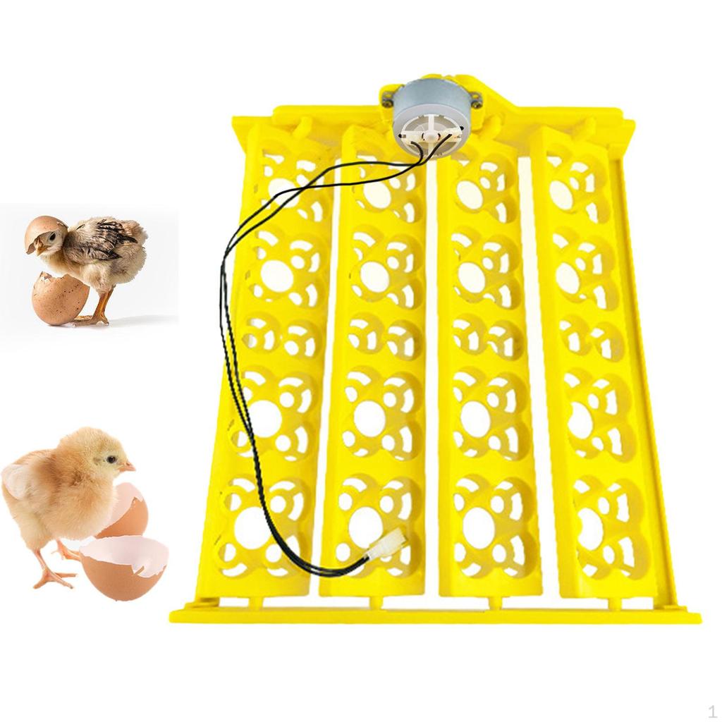 Advanced Egg Incubator Tray with Automatic Rotation Feature