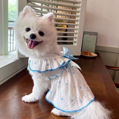 Roupa e sapatos – Vestidos para cães