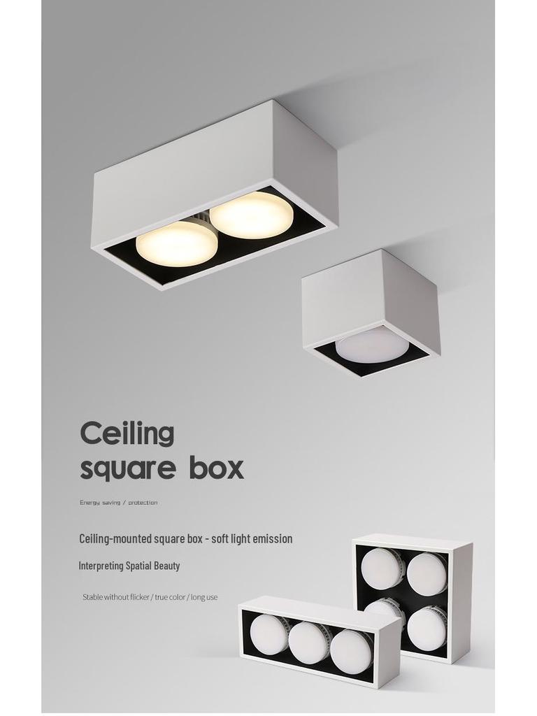 Double-Head GX53 LED Surface-Mounted Downlight, No-Hole, Square Gimbal, Four-Head Ceiling Light for Living Rooms