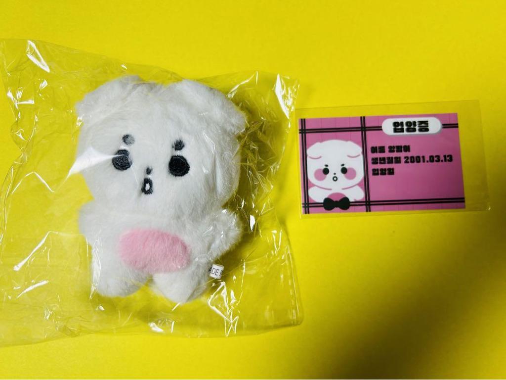 [USED] TXT Beomgyu Masternim Plush Toy 11cm