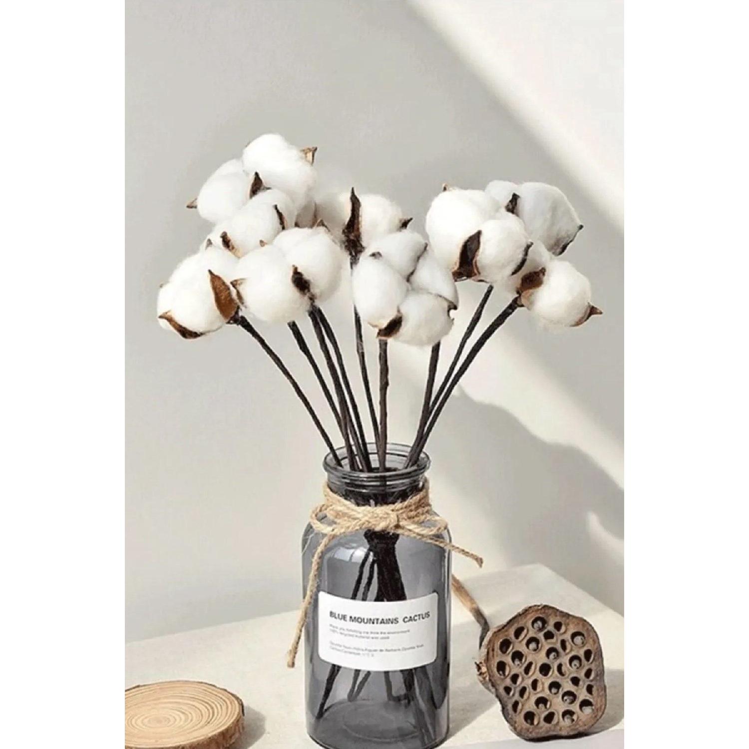 

White Natural Cotton Branches 6 Pieces белый