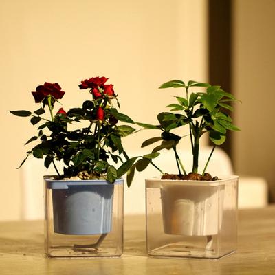 Self-Watering Flower Pot Automatic Irrigation Planter with Absorbent Cotton Rope Water Storage Flowerpot