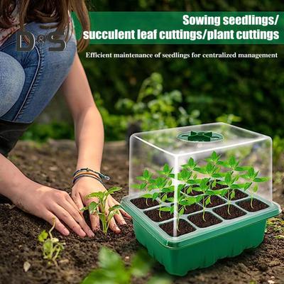 Saatgut-Starterschale, 6 Zellen/12 Zellen, Keimschale für Samen mit einstellbarer Luftfeuchtigkeitslüftung, Pflanzen-Anzuchtkasten für Bonsai-Setzlinge im Innenbereich