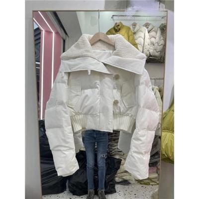 New Cotton-padded Clothes Women's Winter Short Loose and Thickened Design Cotton-padded Clothes Small Cotton-padded Jacket