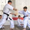 VANZACK Karate trial board, Taekwondo, trial board, 10 pieces for beginners