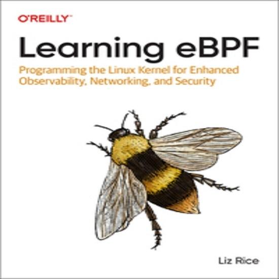 oreilly Learning eBPF Paperback