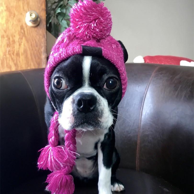 Warm Dog Hat for French Bulldog Chihuahua Puppy Costume Pet Accessories