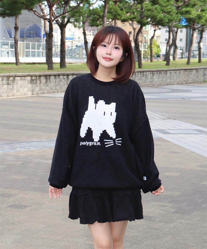 POLYGRAM Pixel Cat Brush Round Knit - 4 Colors