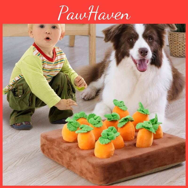 And Vegetable Carrot Garden Interactive Dog Plush Toys For Pet Relief Stress