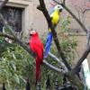 6 Colors 25cm Simulation Parrots Birds Artificial Parrots Home Garden Yard Decoration
