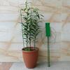 Climbing Plant Support Stand Cage Garden Flowers Easy To Install Reliable