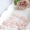 20Pcs White Yellow Multicolor Embroidery Flowers Patch Repair Badge Applique For Clothes Dress Pants Sewing Accessories