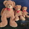 [USED] 3 Teddy Bear Plush Toys (Large, Medium, Small)