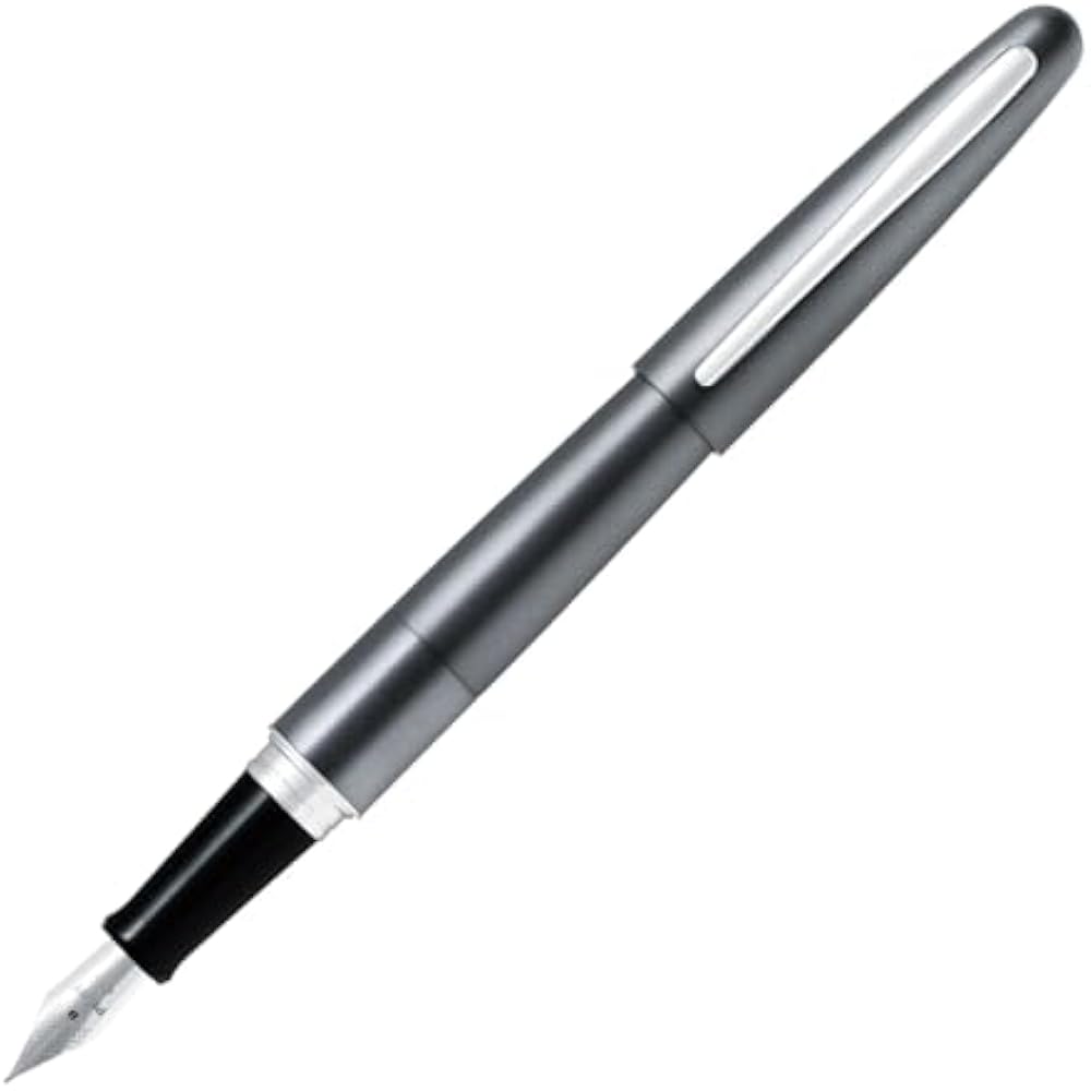Pilot fountain pen cocoon metallic grey fine print FCO-3SR-MGY-F