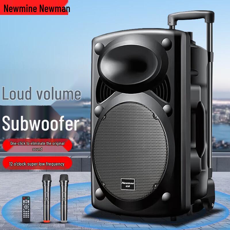Newmine B12 12-inch Portable Bluetooth Trolley Speaker