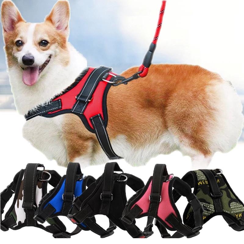 large dog chest harness