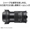 Sigma Lens 18-50mm F2.8 DC DN Sony E-Mount Zoom for Standard APS-C Mirrorless Contemporary