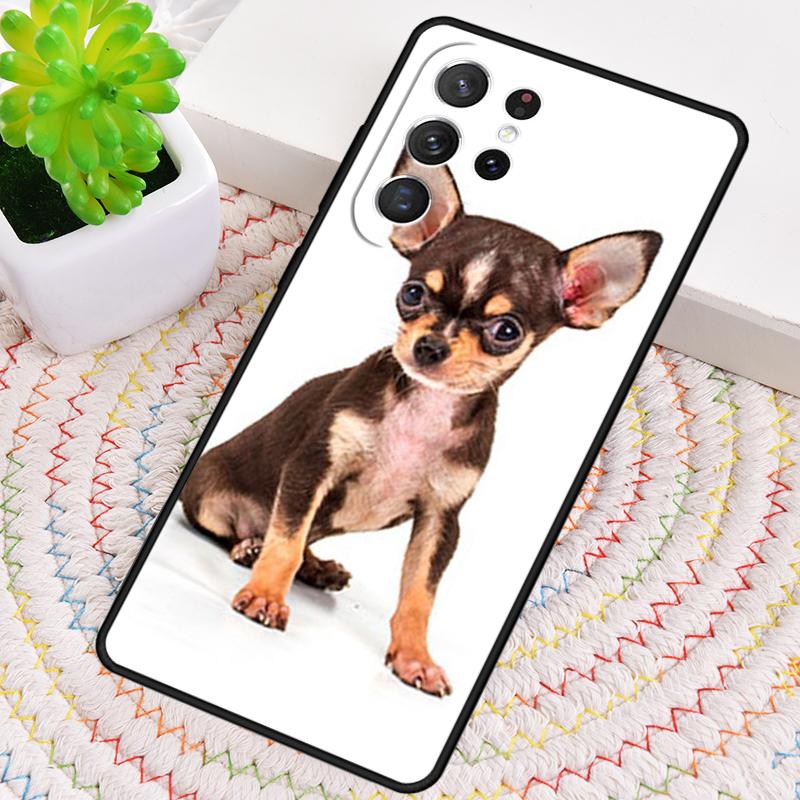 Animal chihuahua Phone Case for Samsung Galaxy note 10 pro S26 Ultra S23 S24 FE S25 S21 S22 PLUS shockproof Cove