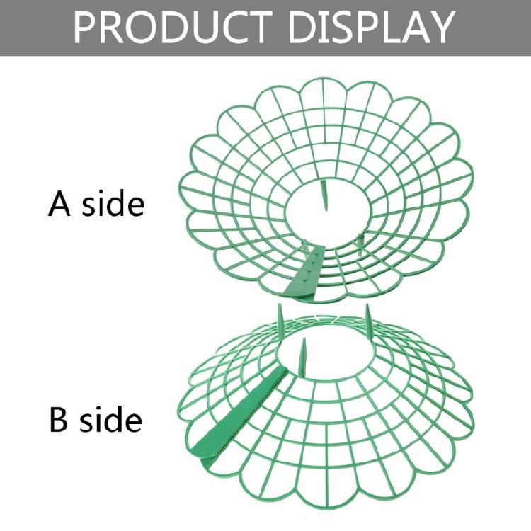 Strawberry Supports Stand Strawberry Plant Supports Cages Climbing Trelli