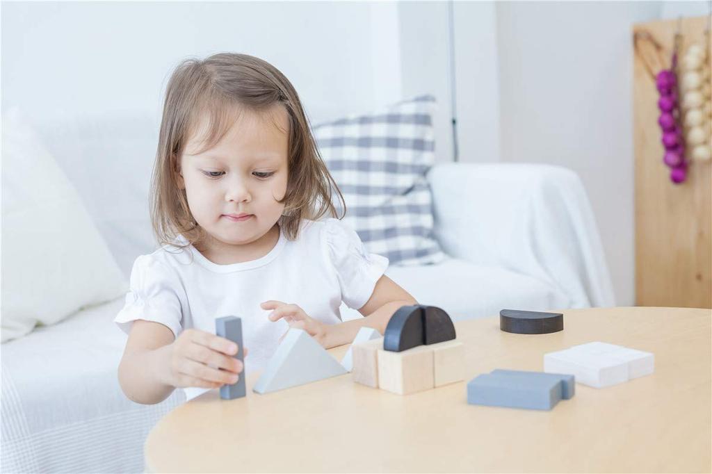 PLANTOYS JAPAN 5371 Fraction Block