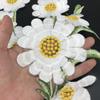 Daisy Clothing Applique Exquisite Clothes Patches Flower Embroidered Patches  Sewing