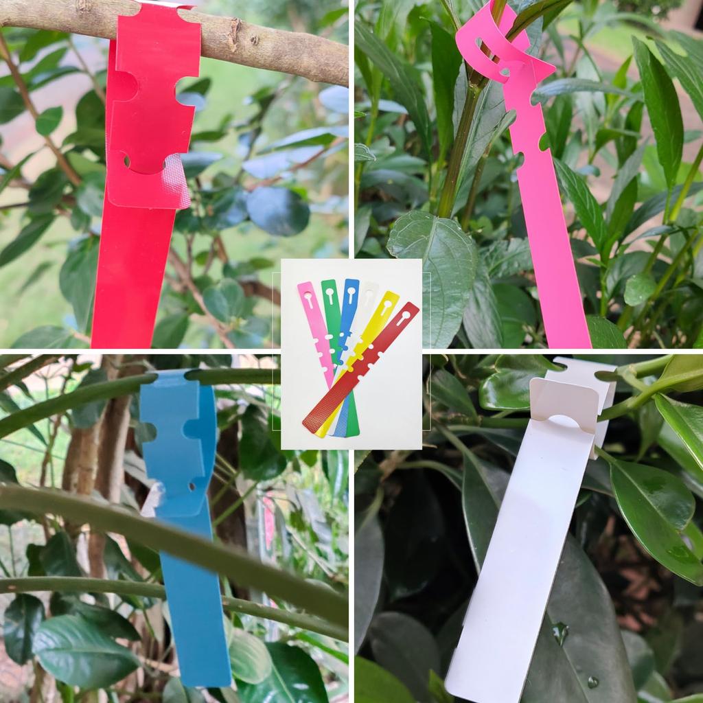 SLMYCAO Gardening Plant Bonsai Plant Potted Vegetable Houseplant Gardening 6 600 Pieces Labels, Labels, Tags, Identification, Plants, Farm, Garden,