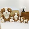 Cute Bianmu dog plush toy doll girl sleeping on the bed doll warm heart accompany children birthday gift