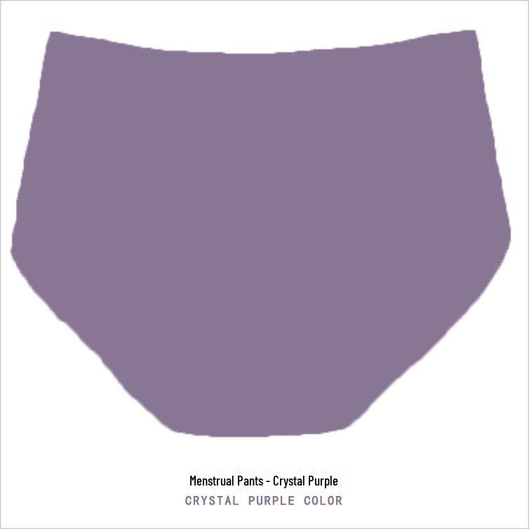 Plus Size Leak-Proof Women s Mid-High Waist Menstrual Mesh Underwear M (70-80 jin)