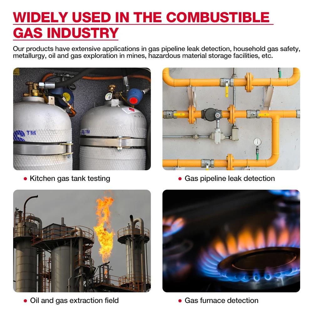 Neuer professioneller Gasleckdetektor 0-1000 PPM Ton- & Bildschirmalarm Brennbares Erdgas Methan Gas CH4 C2H2 C2H4 C2H6 C2H4O Detektor mit LCD-Anzeige