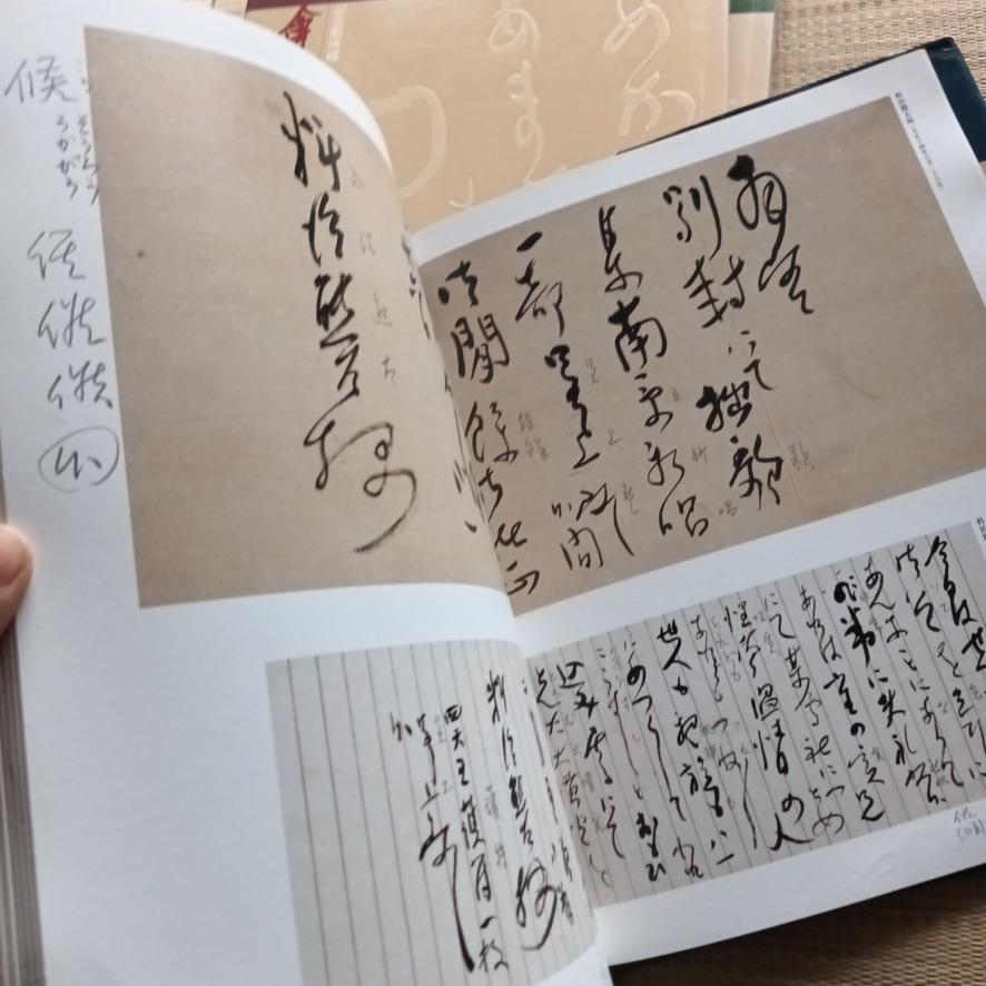 [FOLOSIT] Colecție de caligrafie de Aizu Yaichi de Akikusa Dojin, deținută de Muzeul Memorial Aizu Yaichi din orașul Niigata, set de 3 volume