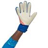 Adidas Predator Goalkeeper Size LGE H53732 SD171 BL 8 Men's Gloves,