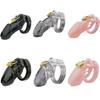 Male Chastity Cage Device Small/Standard Cock Cage with Rings Erotics Urethral Brass Lock Locking Sex Toys for Men Adults