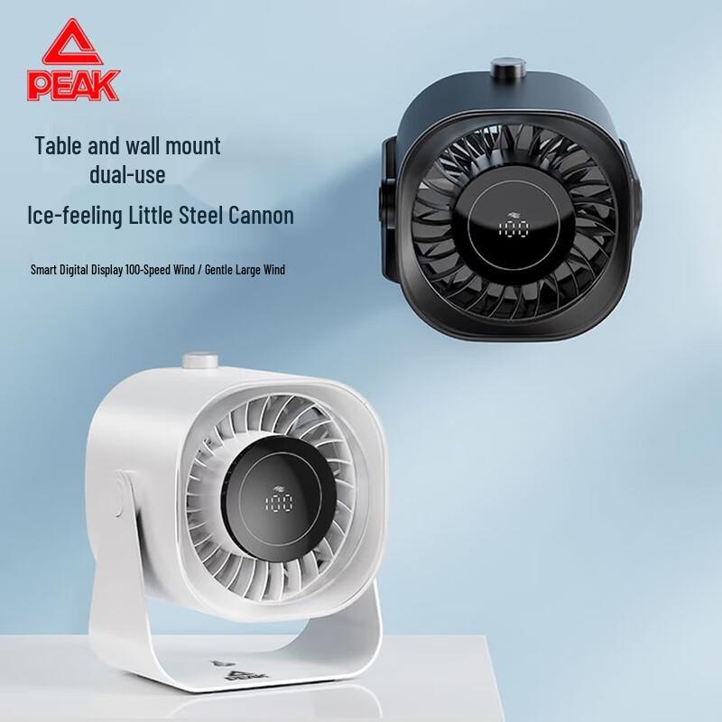 Pik Desktop Fan