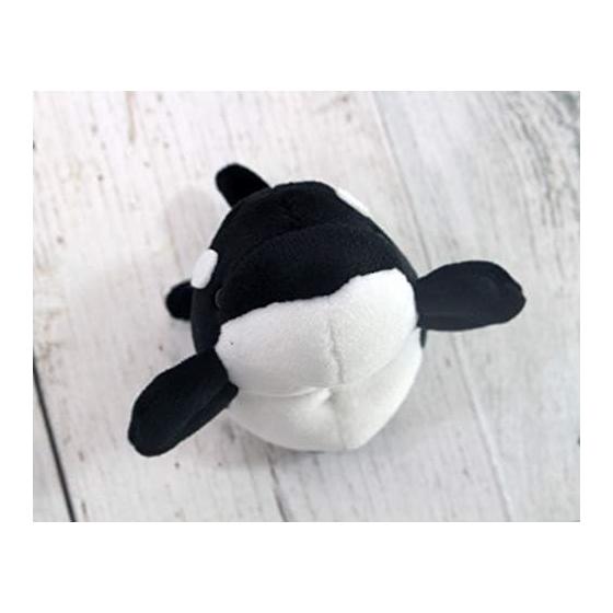 Takeoff Pokepuni Killer Whale