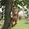 Monkey Hanging Miniature Sculpture Resins Animal Decorative Figurine Ornament For Garden Patios Wall Or Shelf Decors