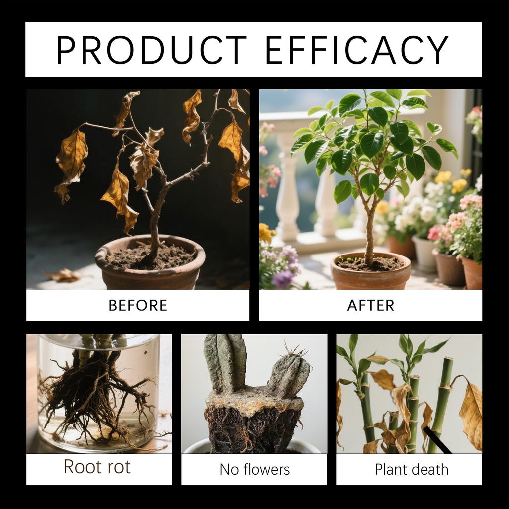 Рослинний компост, Щоденне життя рослин, Поглинає та живить Порошок для сільськогосподарського посіву.