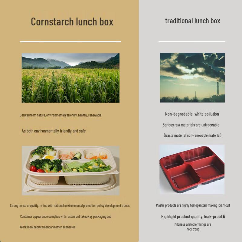 NHZHIW Biodegradable 3-Compartment Disposable Meal Box