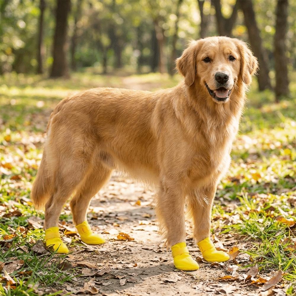 4PCS Adjustable Dog Foot Cover Waterproof Anti-slip Pet Socks Anti-dirty Pet Paw Protector  Snow