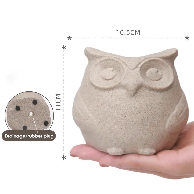 Adorable Resin Owl Shaped Succulent Planter for Home Office Decoration Mini Ornament Fairy Garden Owls Statues
