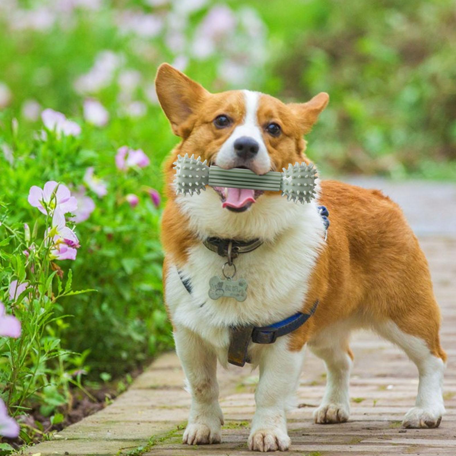 

Dog Teething Toy Playful Soothing Pet Supplies Dog Sensory Chew Toys For Home Living Room Bedroom Outdoor Garden Yard Lawn Patio CN