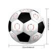 AFC Ajax Soccer Ball Colorful All Ages Machine Stitched PVC Competition Ready Durable High-Bounce.SIZE5
